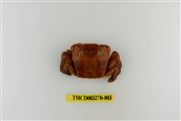 藏品(字纹弓蟹)的圖片